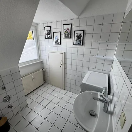 Modern & Zentral - In Kassel